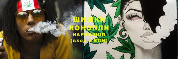 кристаллы Гусь-Хрустальный