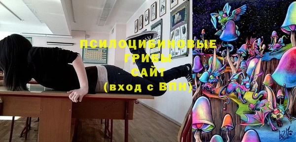 кристаллы Гусь-Хрустальный
