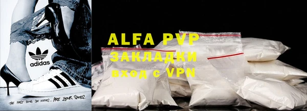 стаф Гусев
