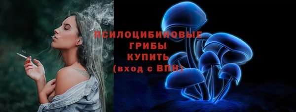 стаф Гусев