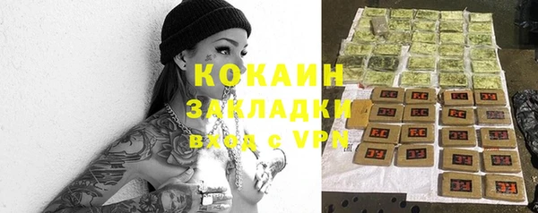 стаф Гусев