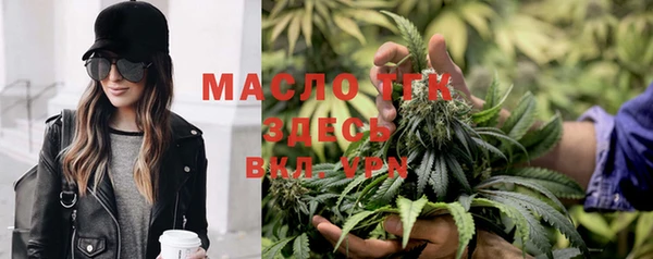 кристаллы Гусь-Хрустальный