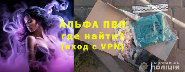 стаф Гусев