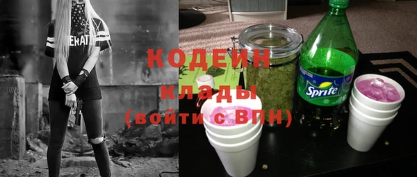 стаф Гусев